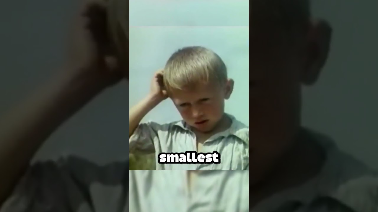 Когда советские дети говорили правду 😂🇷🇺 #советскиешутки #советскиеистории #советы