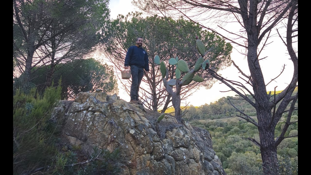 FLORA, FAUNA y VIENTO en el Parque Natural del  Estrecho