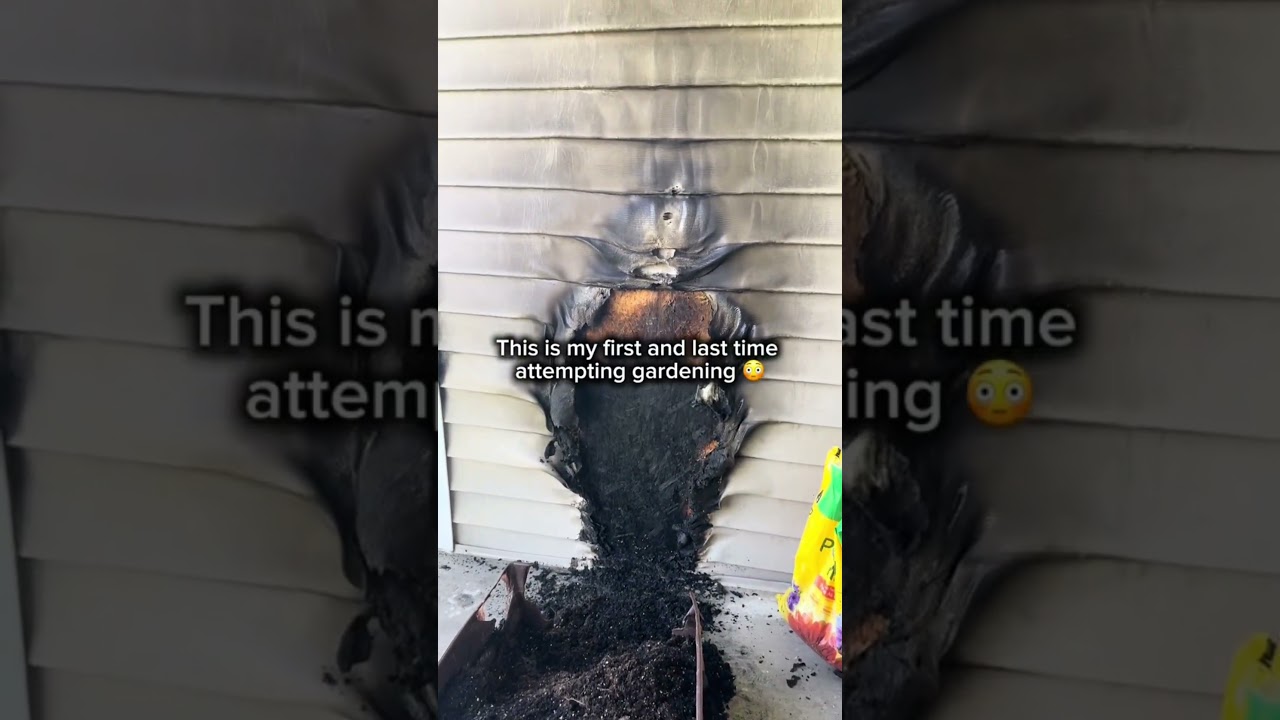 Растение производит огонь 😨