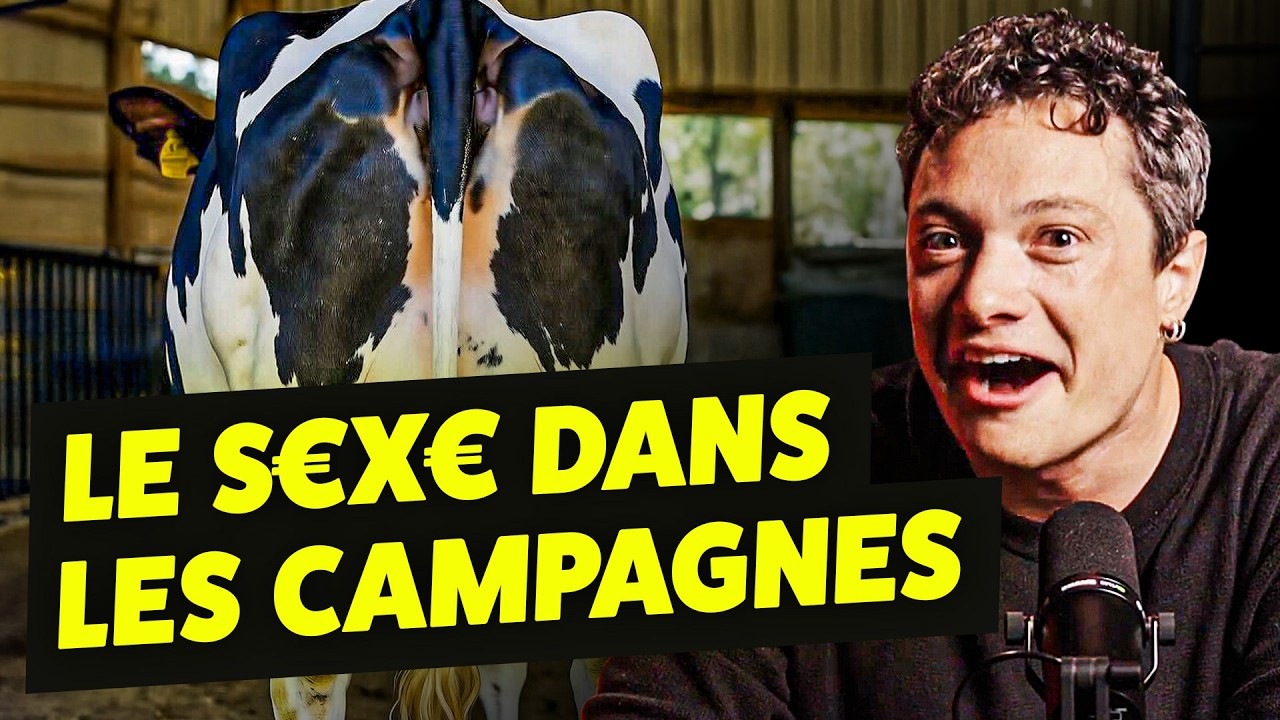Un taureau pour 400.000 Vaches : le taureau qui a arros&eacute; la France