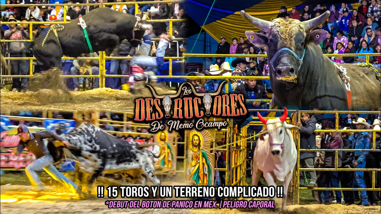 15 TOROS Y TERRENO COMPLICADO|PEL¡GR0 CAPORAL|DEBUT: BOTON DE PANICO| Destructores San Diego Mex '24