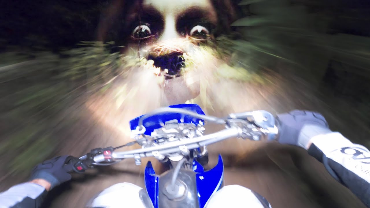 DEU MEDO TESTAR A MOTO NA TRILHA DE NOITE!  TTR 230
