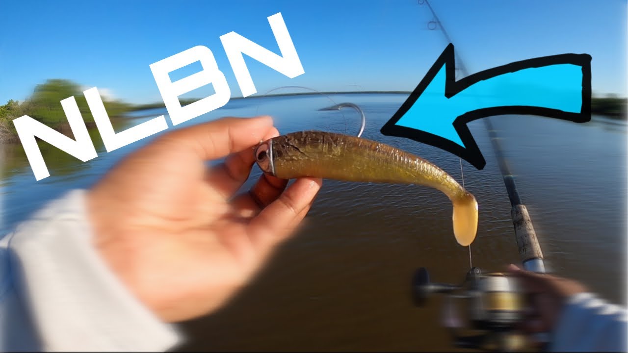 EPIC Backwater TARPON Fishing In My GHEENOE!! (Fishing With NLBN Swimbaits!)