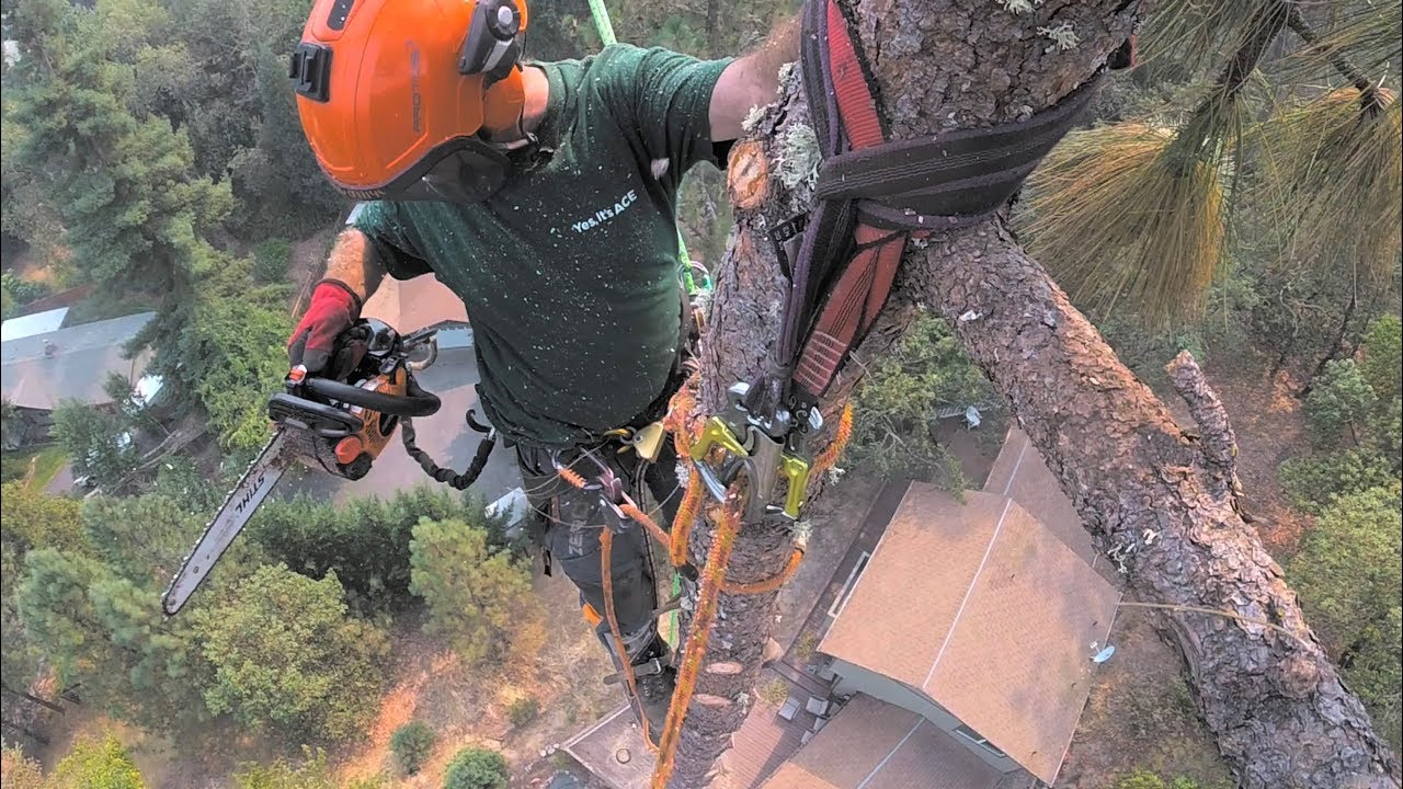 Arborist Speed Lining Principles Part  2