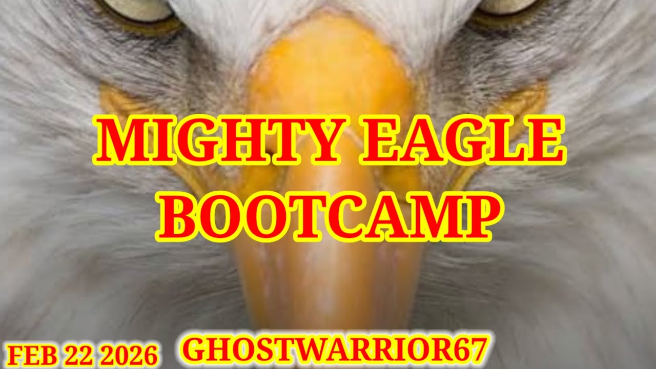 Angry birds 2 Mighty Eagle Bootcamp 2026/02/22 & 2026/02/23 Cleared 11.9rooms,after Daily Challenge 
