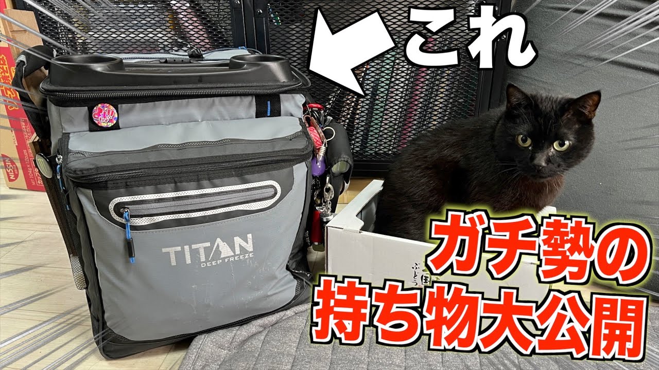 【ミニ四駆】ガチ勢は何を持ってる？使用中のピットボックス大公開！