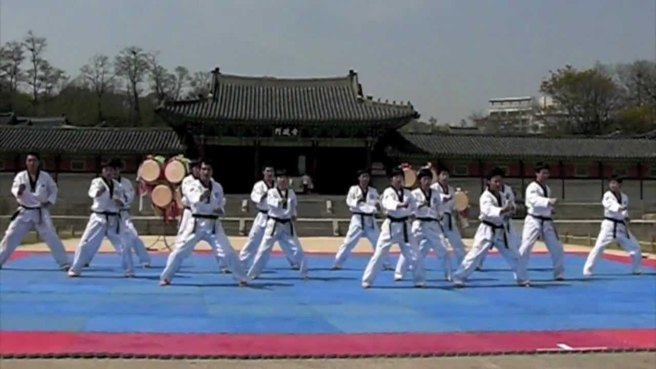 South Korea National Kukkiwon Taekwondo Team Demonstration