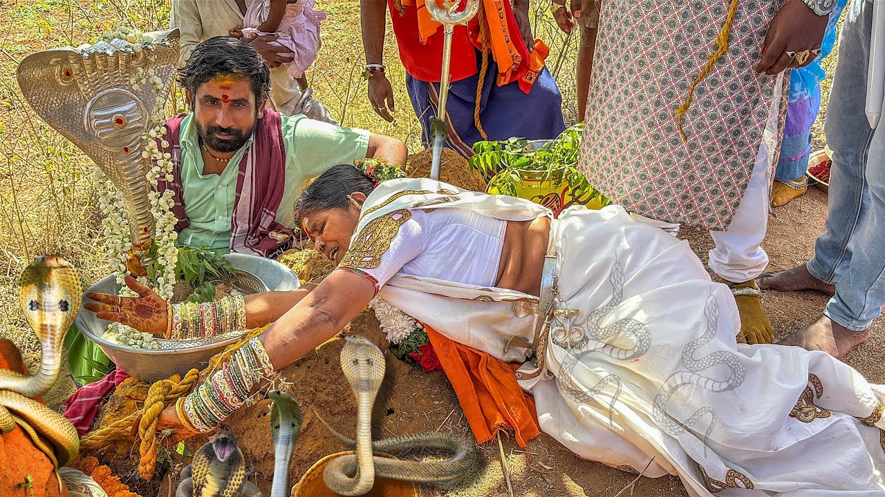 Kuppagandla sharadamma veeranagamma festival puttakammadam || Sharadamma Veeranagamma kolupu
