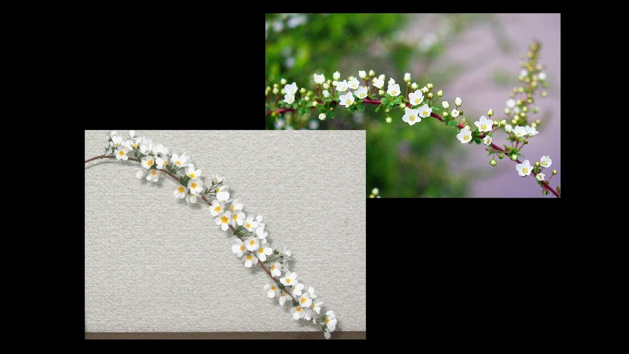 ユキヤナギ【折り紙アート】～解説付き～季節の花を折り紙で作ってみました。