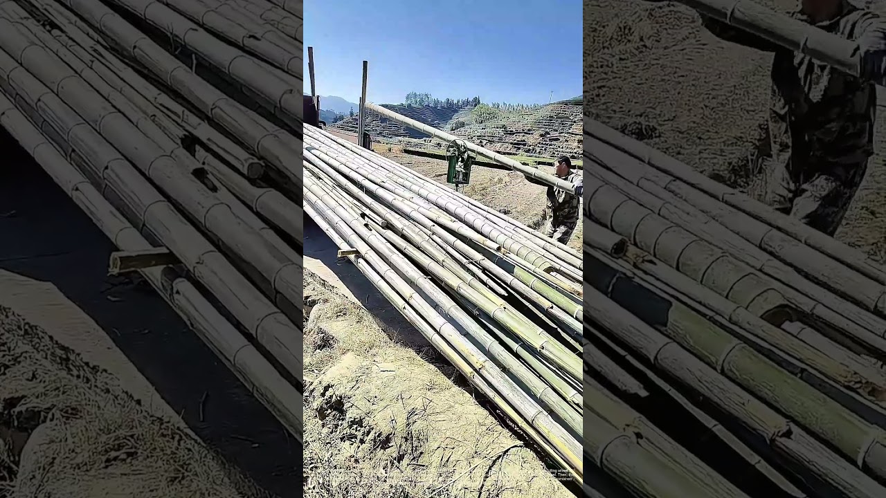 From Wheel to Truck: The Bamboo's Balancing Act