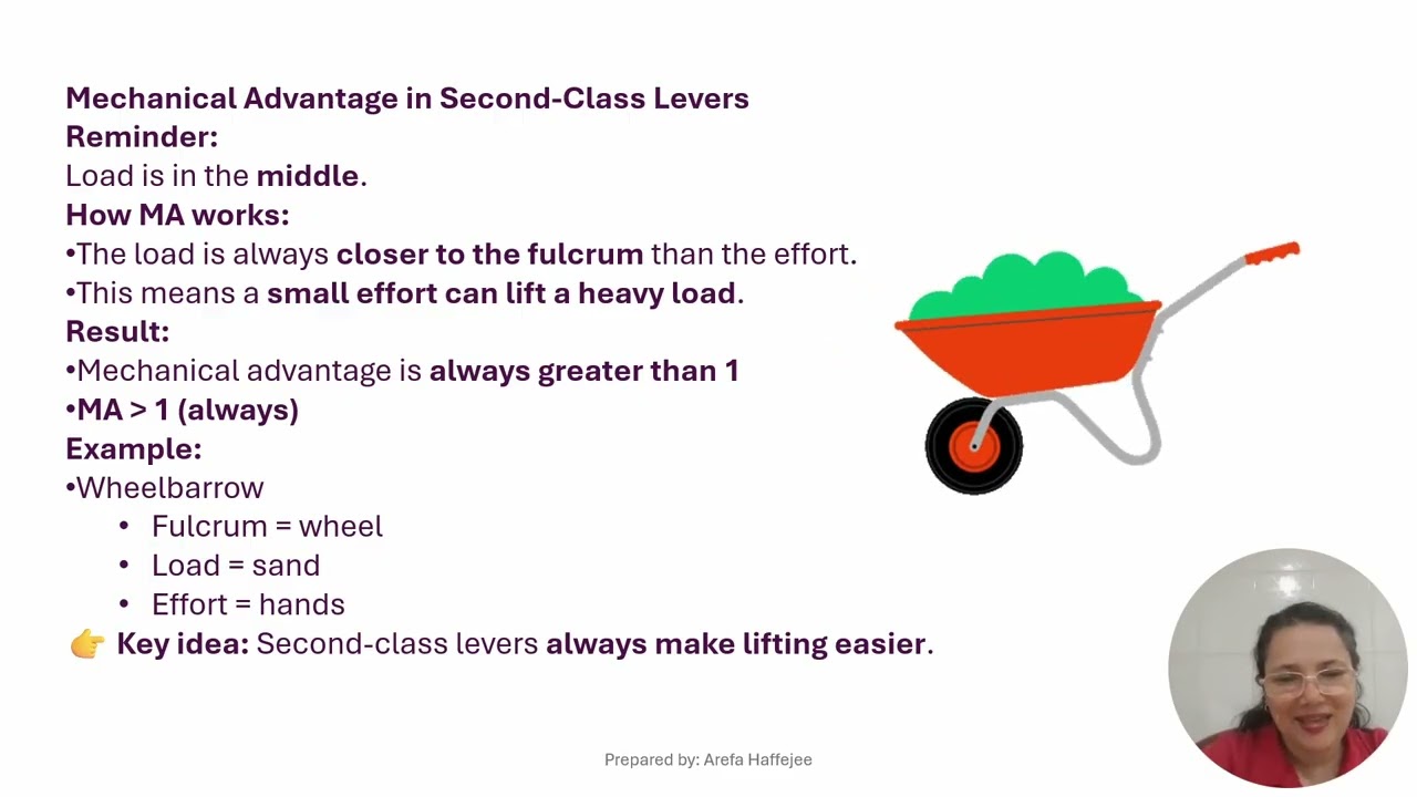 #Simple Mechanisms Grade 7 Technology Term 1