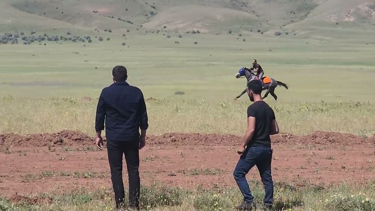 HINIS RESMİ YARISINDA 2GURUP İNGİLİZ YARISINDA KAZANAN CANBEY OLDU