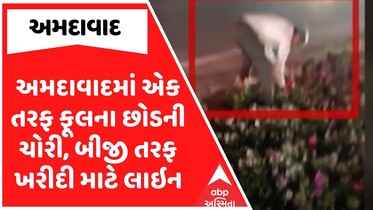 Ahmedabad News | અમદાવાદમાં એક તરફ ફૂલના છોડની ચોરી, બીજી તરફ ખરીદી માટે લાઇન
