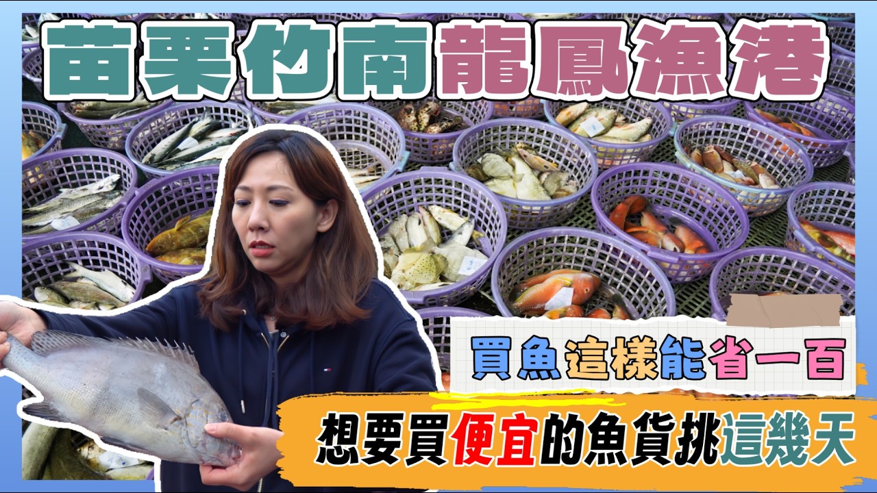 苗栗龍鳳漁港丨現場拍賣魚獲直購丨魚種多明碼標價丨告訴你什麼時候來買最便宜丨這樣買魚還能省下一百元丨