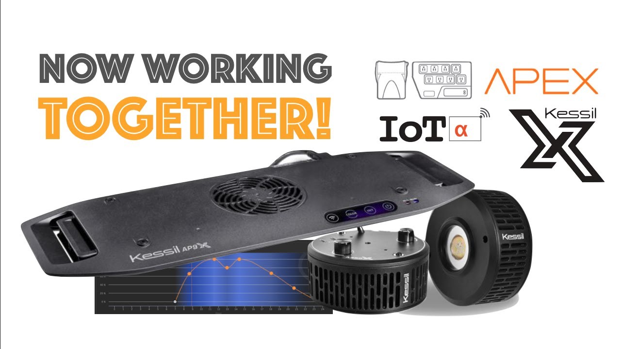 Do APEX and KESSIL work together? See how they work together inside the Apex ecosystem using IOTA