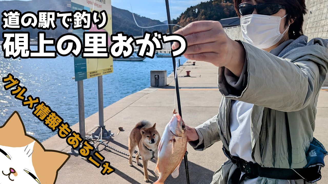 おばさんと柴犬ゆきちが道の駅で釣り！絶品ランチで快適晩酌釣り！？まさかの縁結びも？【宮城県石巻市 道の駅硯上の里おがつ】