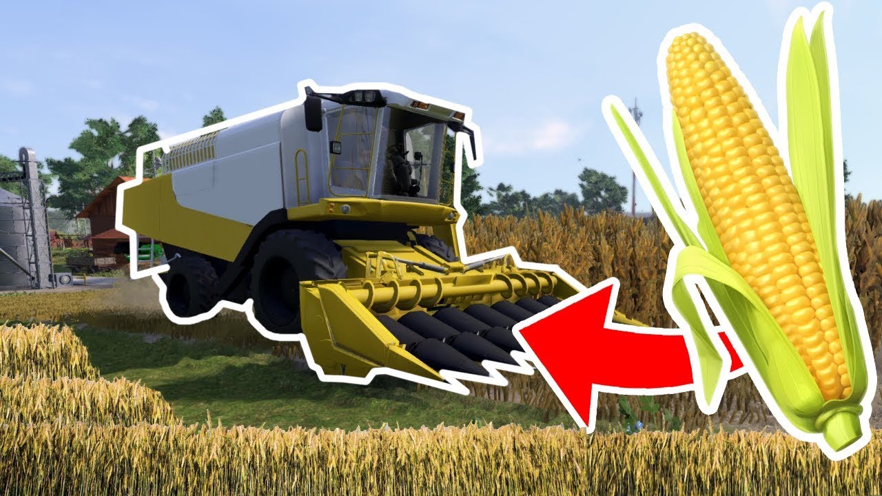 Automatyczne zbiory KUKURYDZY - Farmer's Dynasty (#15)