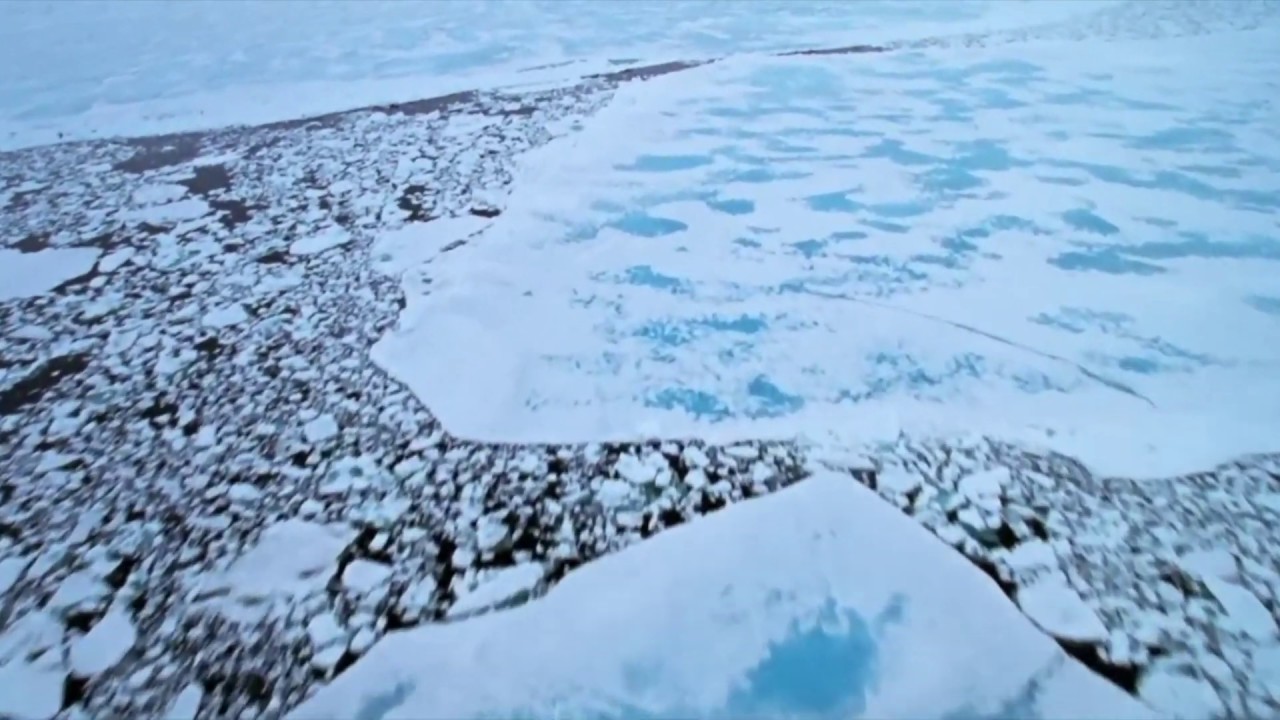 La Planète Blanche (Extrait) - Alex LE DU
