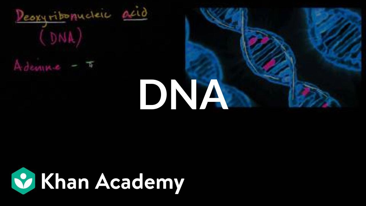 DNA | Biomolecules | MCAT | Khan Academy