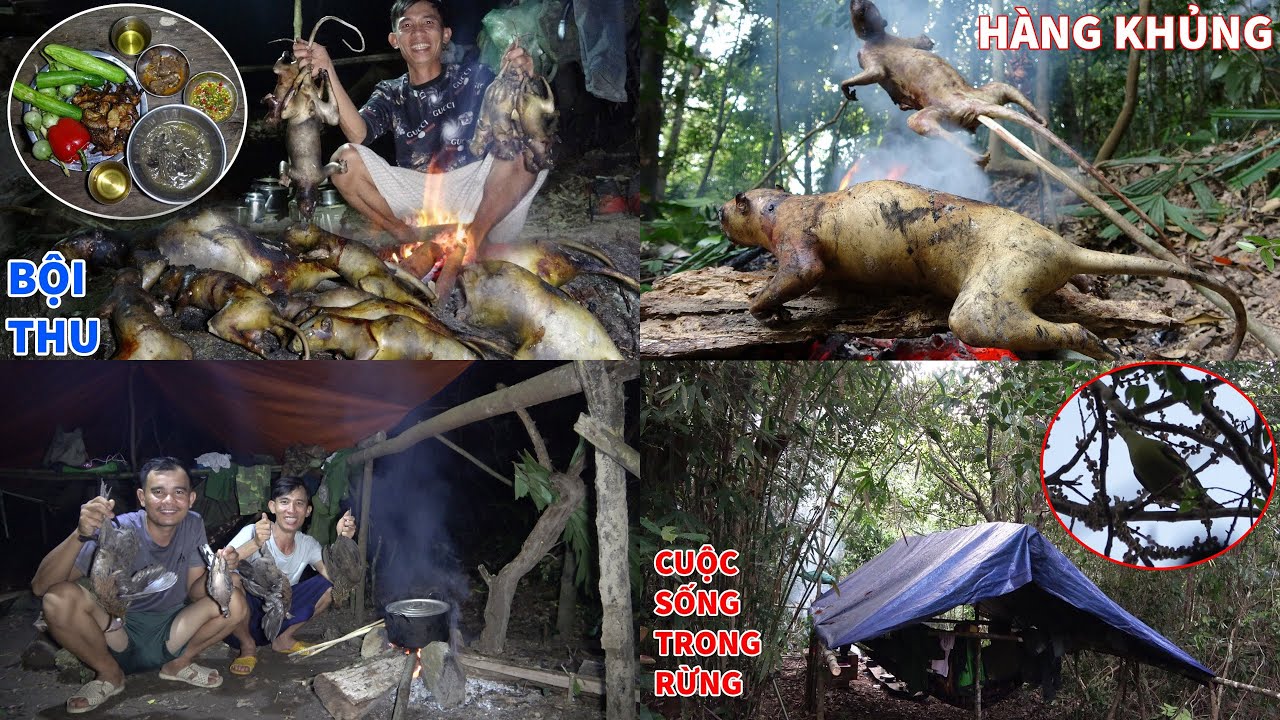 KIẾM ĂN TRONG RỪNG, TRẢI NGHIỆM NGỦ RỪNG, CUỘC SỐNG HOANG DÃ - P27