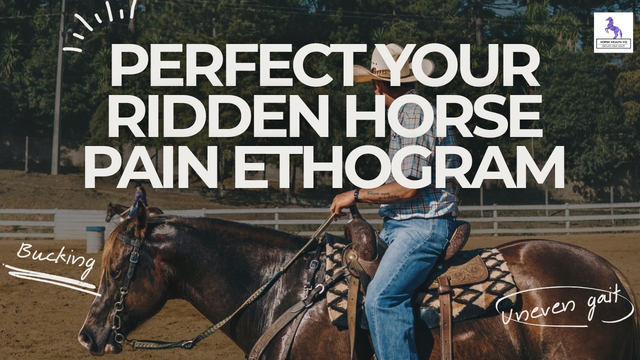 Perfect Your Ridden Horse Pain Ethogram