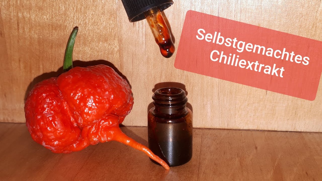 Chiliextrakt selbermachen - Ein SCHARFES Experiment