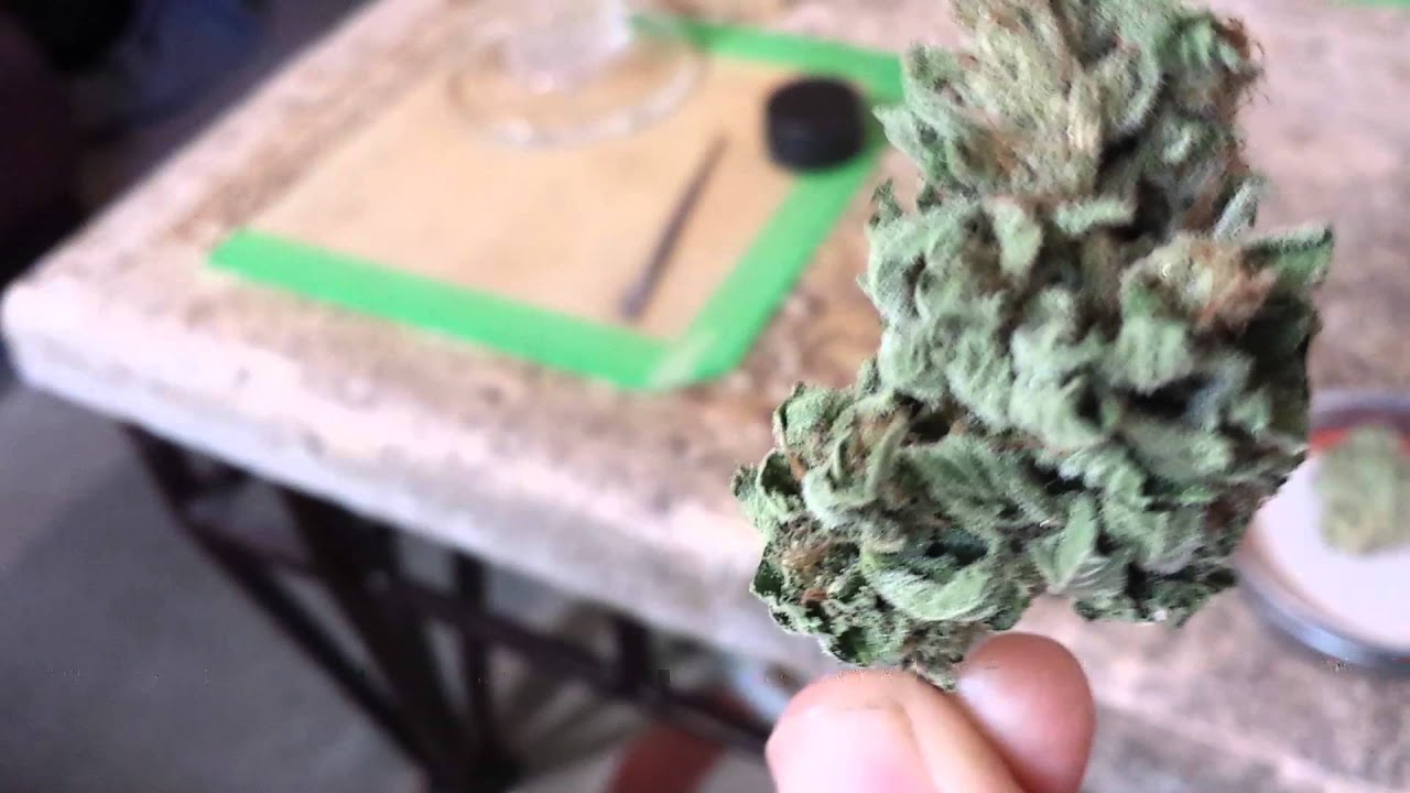 Abusive OG and Professor Chaos Nugs
