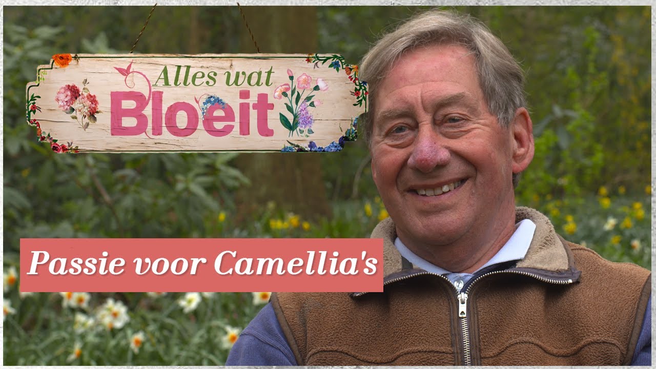 Passie voor Camellia's | Alles Wat Bloeit