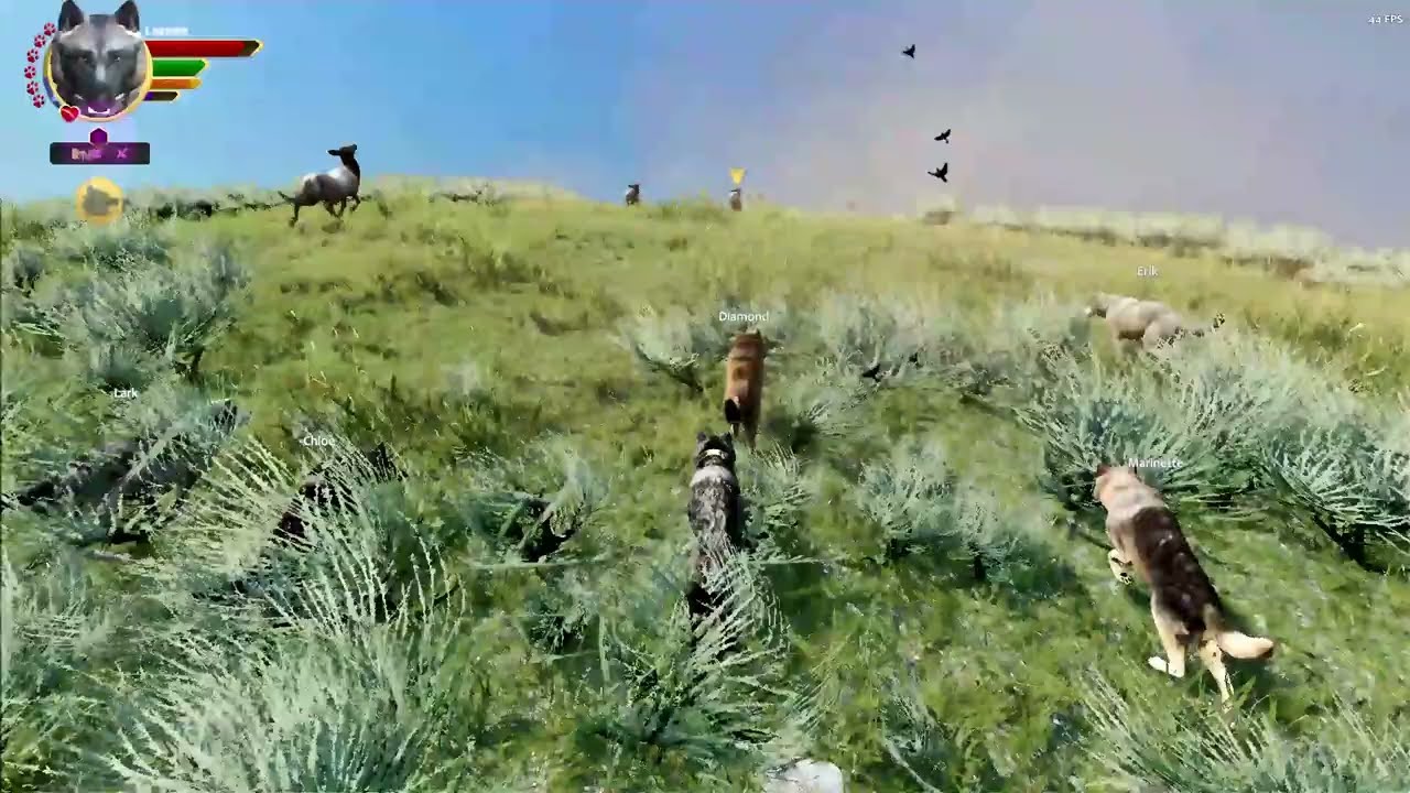 Almost killing off a entire elk herd in WolfQuest 3