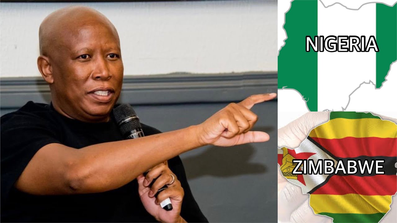 JULIUS MALEMA EXPLAINS WHY HE LIKES NIGERIANS AND ZIMBABWEANS AS AFRICANS