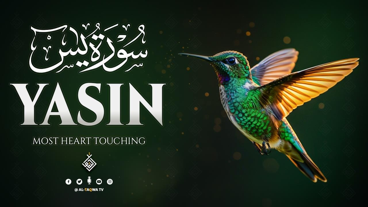 Surah Yasin (Yaseen) سورة يس | Relaxing heart touching Recitation تلاوة مؤثرة| Al Taqwa TV