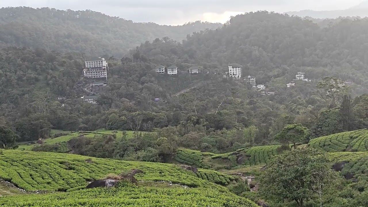 LETCHMI TEA ESTATE KANNAN DEVAN HILLS MUNNAR 