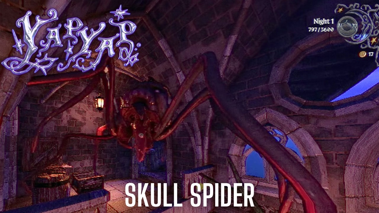 I’M STILL AFRAID OF SPIDERS | YAPYAP