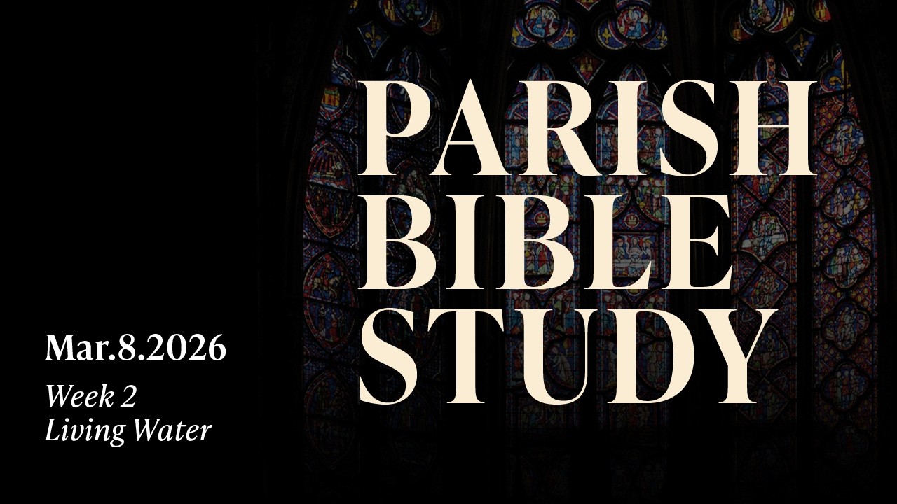2026 Parish Bible Study - Week 2