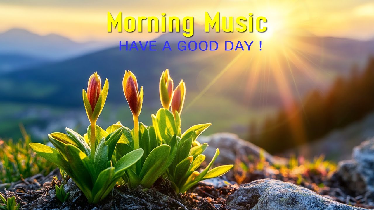 GOOD MORNING MUSIC - Wake Up Happy, Positive Energy & Harmony Inner Peace - Morning Meditation Music