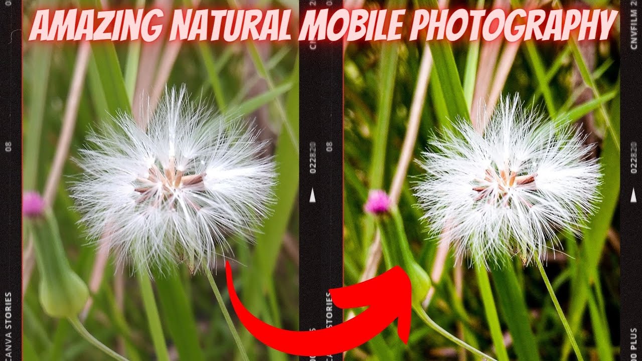 Amazing Natural Mobile Photography #vrphotography #shorts
