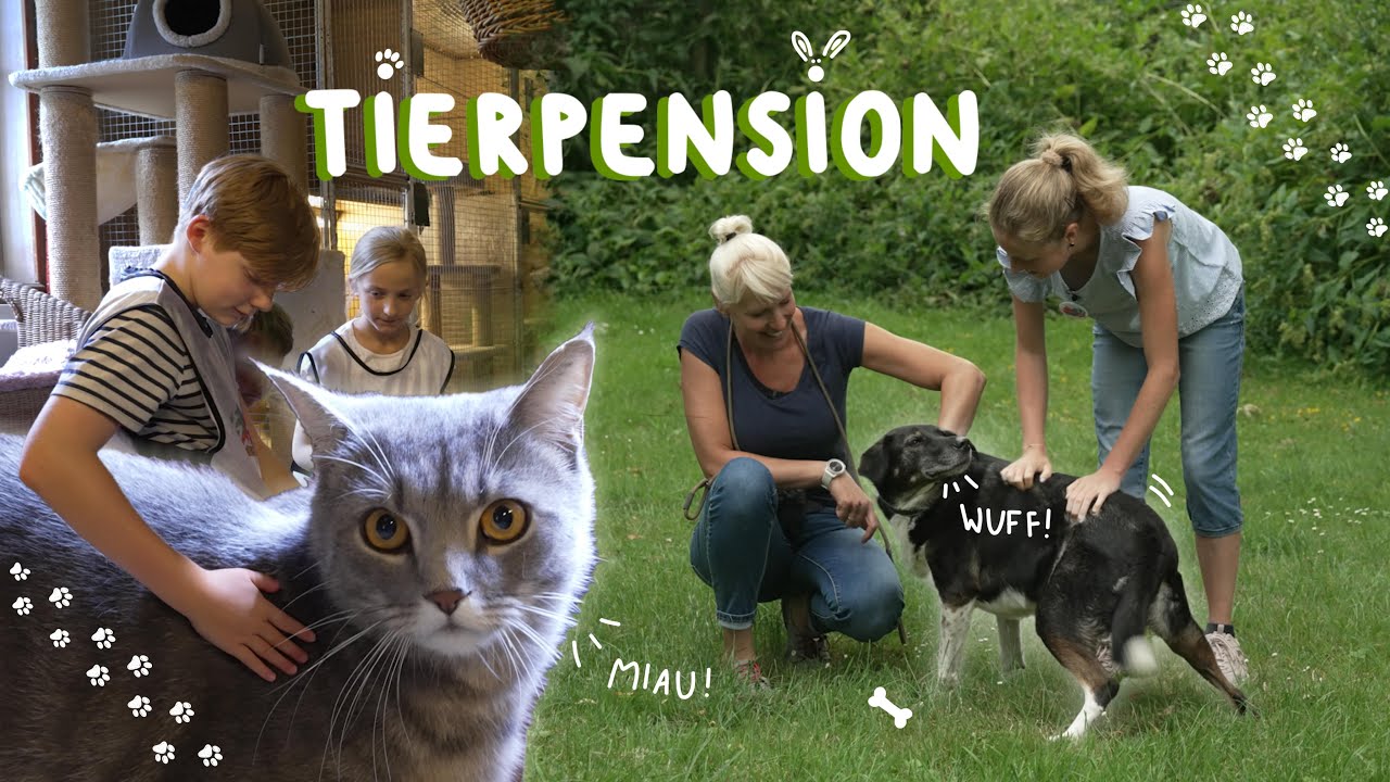 TIERPENSION | Reportage für Kinder | mit Nora