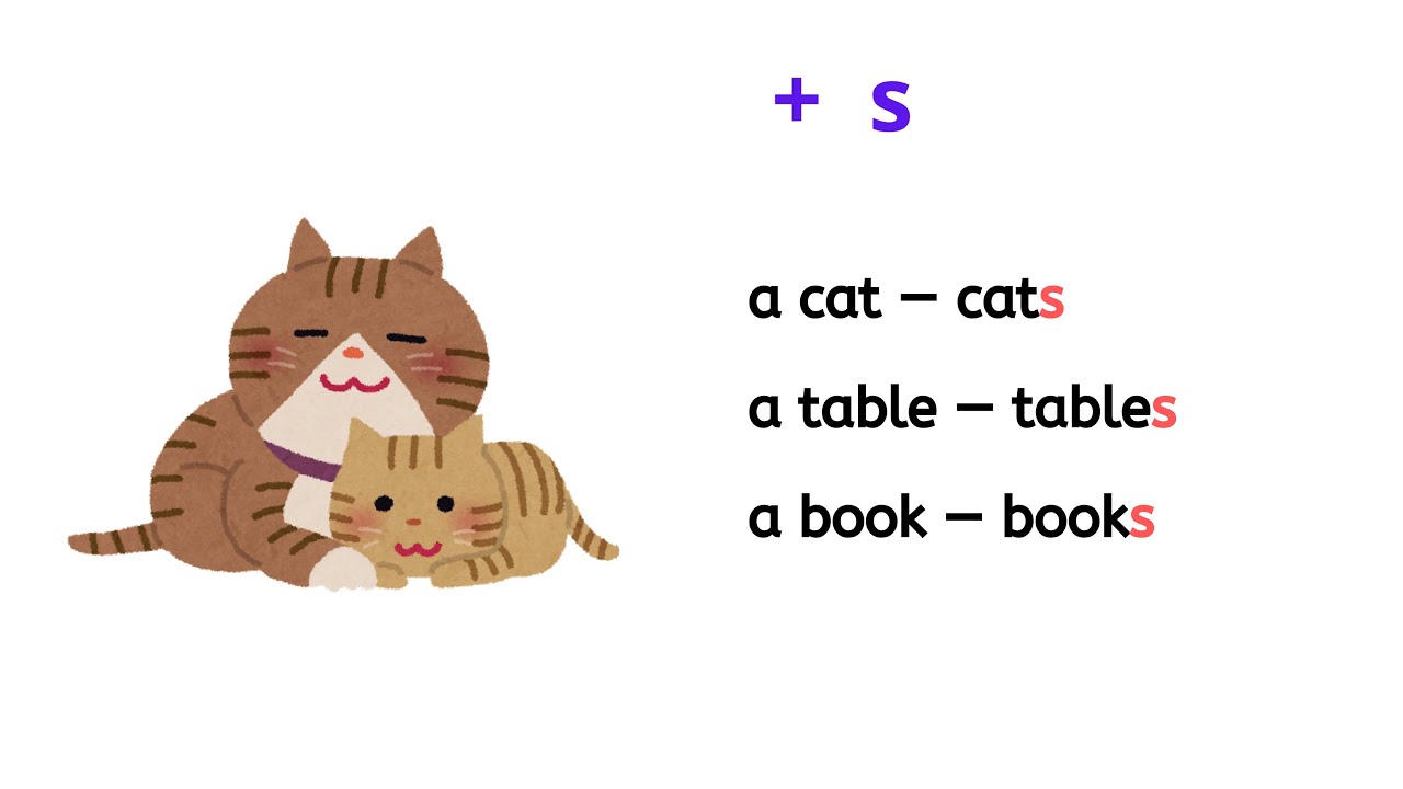 Master English Plurals: The Ultimate Rule Breakdown & Exceptions Guide