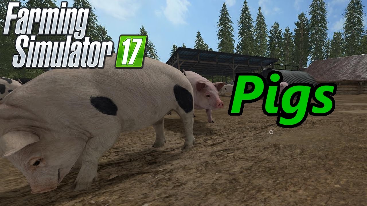 Обучающее видео Farming Simulator 17 | Свиньи