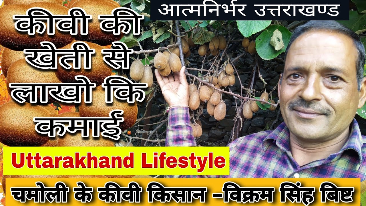 कीवी की खेती /उत्तराखण्ड/आत्मनिर्भर उत्तराखण्ड/Uttarakhand Lifestyle/uttarakhand