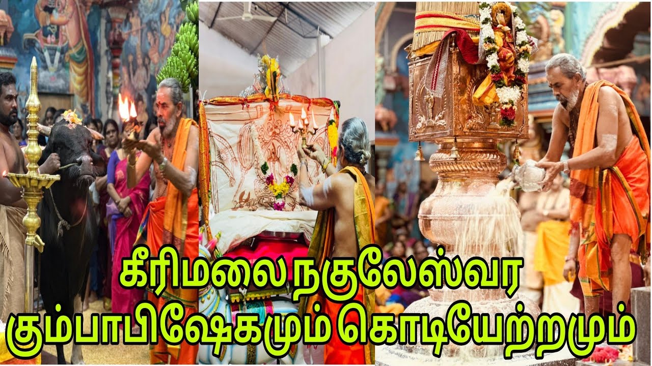 கீரிமலை நகுலேஸ்வர கும்பாபிஷேகமும், கொடியேற்றமும் 🙏