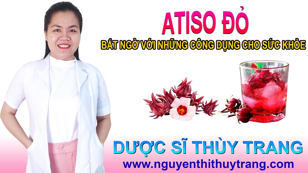 Atiso đỏ | Hoa bụp giấm c&oacute; t&aacute;c dụng g&igrave;? C&aacute;ch nấu atiso đỏ v&agrave; c&aacute;ch sử dụng tốt nhất
