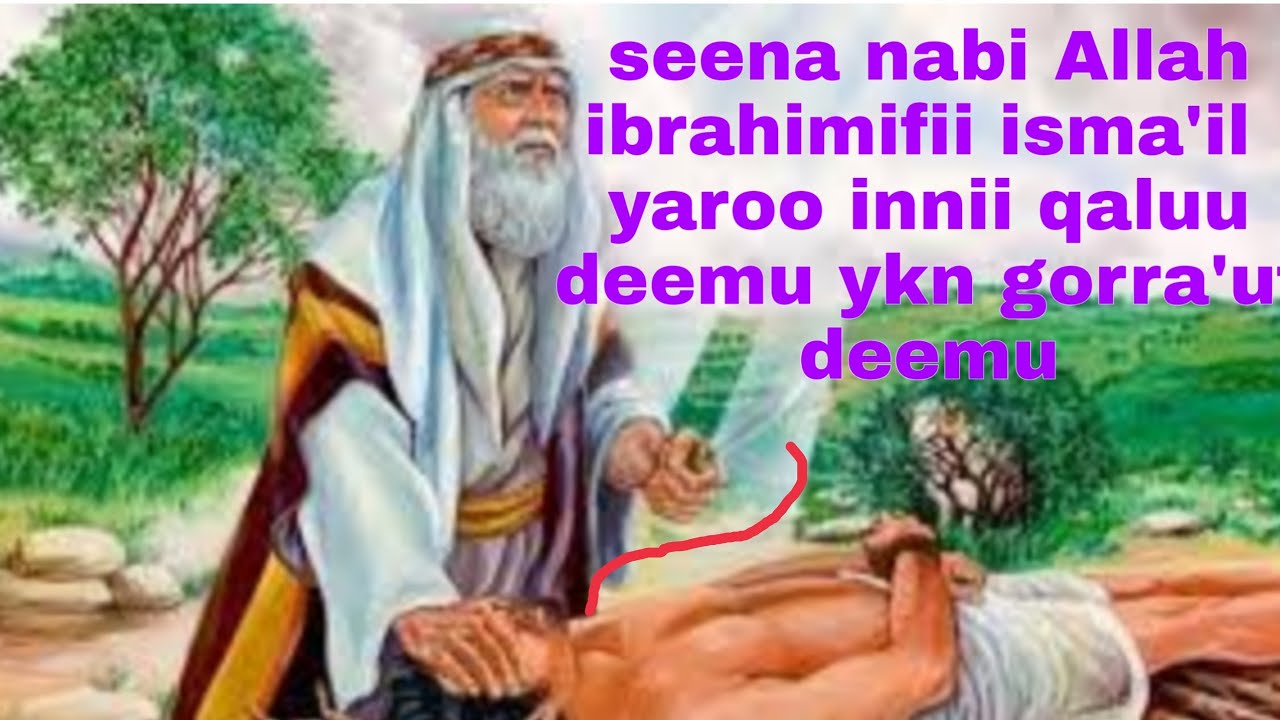 Maliif nabi ibrahim ilma isaa nabii isma'il qaluu ykn gorra'utii ajajamee