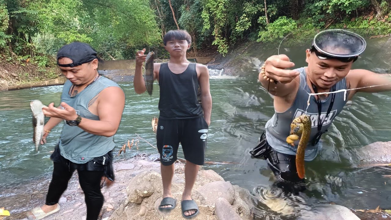 Dilaw na kasili at dalag