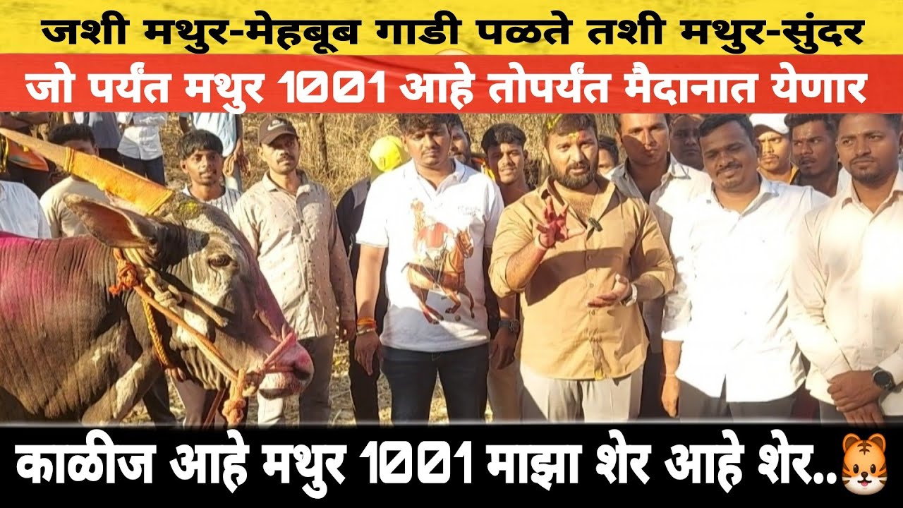 काळीज आहे मथुर 1001 माझा शेर आहे शेर🐯जो पर्यंत मथुर 1001 आहे तोपर्यंत मैदानात येणार राहुल भाई मुलाखत