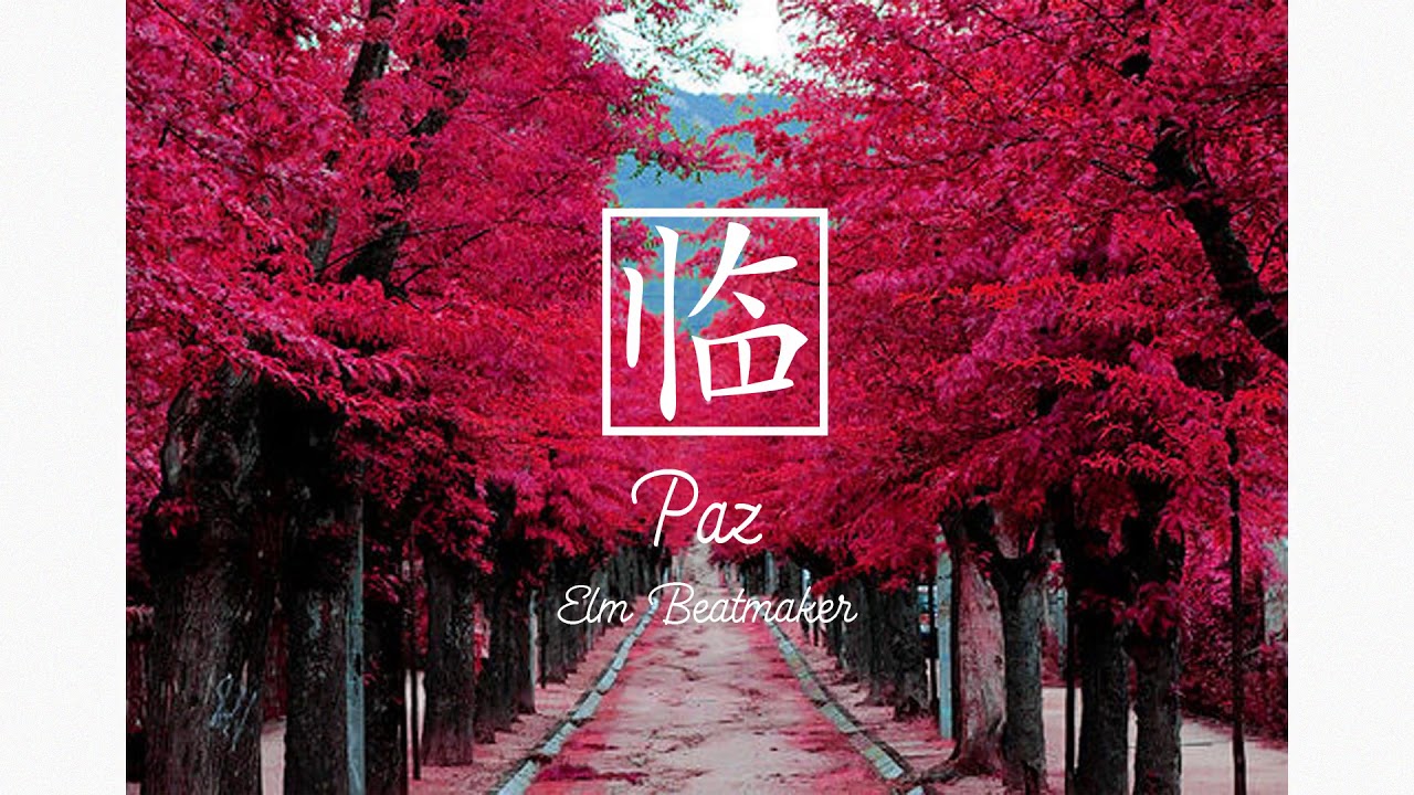 PAZ - Pista de RAP Boombap / HIP HOP Instrumental Relax 2017 FREE USE