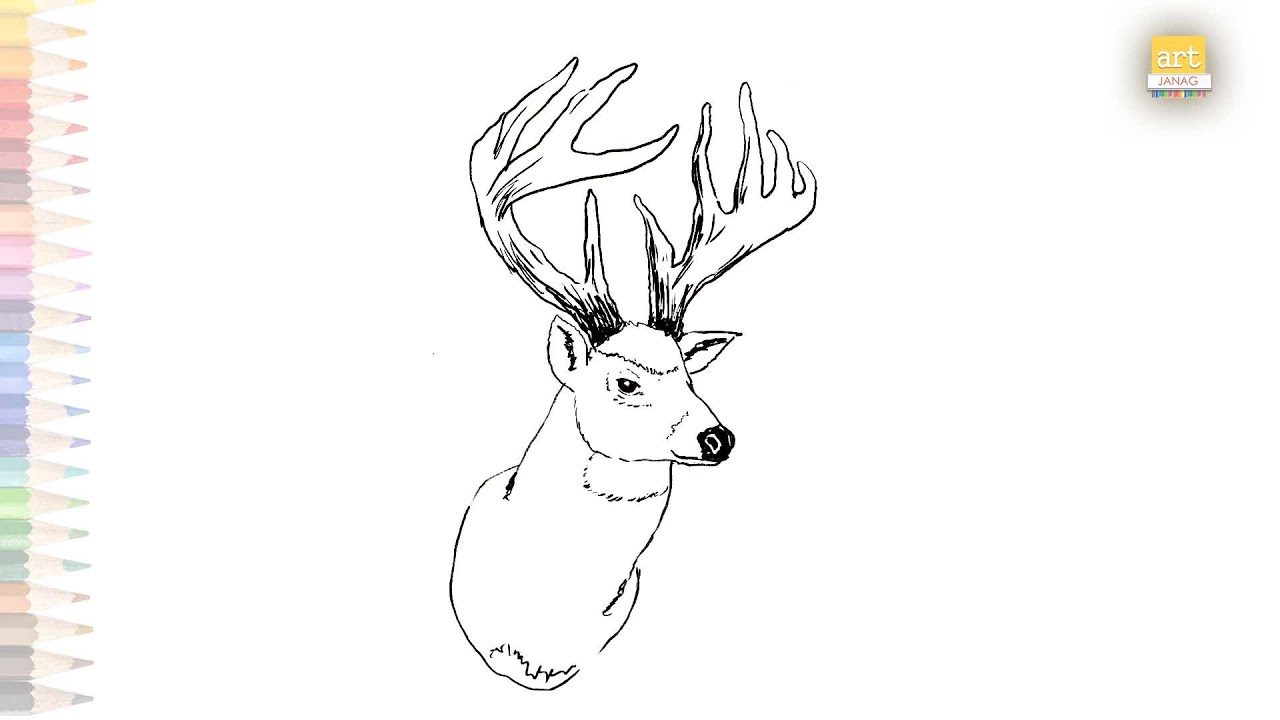 Deer head drawing outline | How to draw Deer head step by step | wild animal drawings | easy drawing