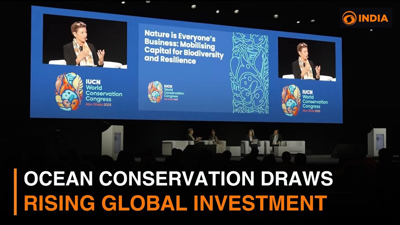 Ocean conservation draws rising global investment