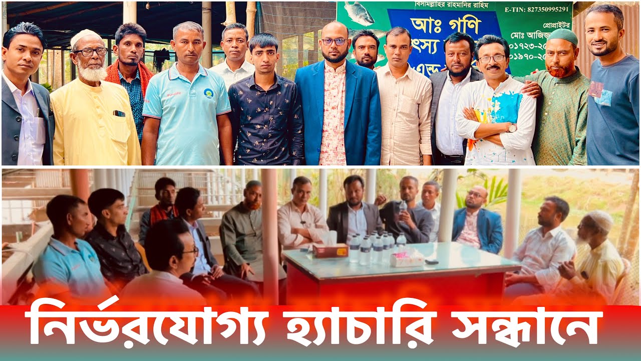 নির্ভরযোগ্য হ্যাচরি সন্ধানে পছন্দের চাষি ভাইয়েরা..ll catfish bd