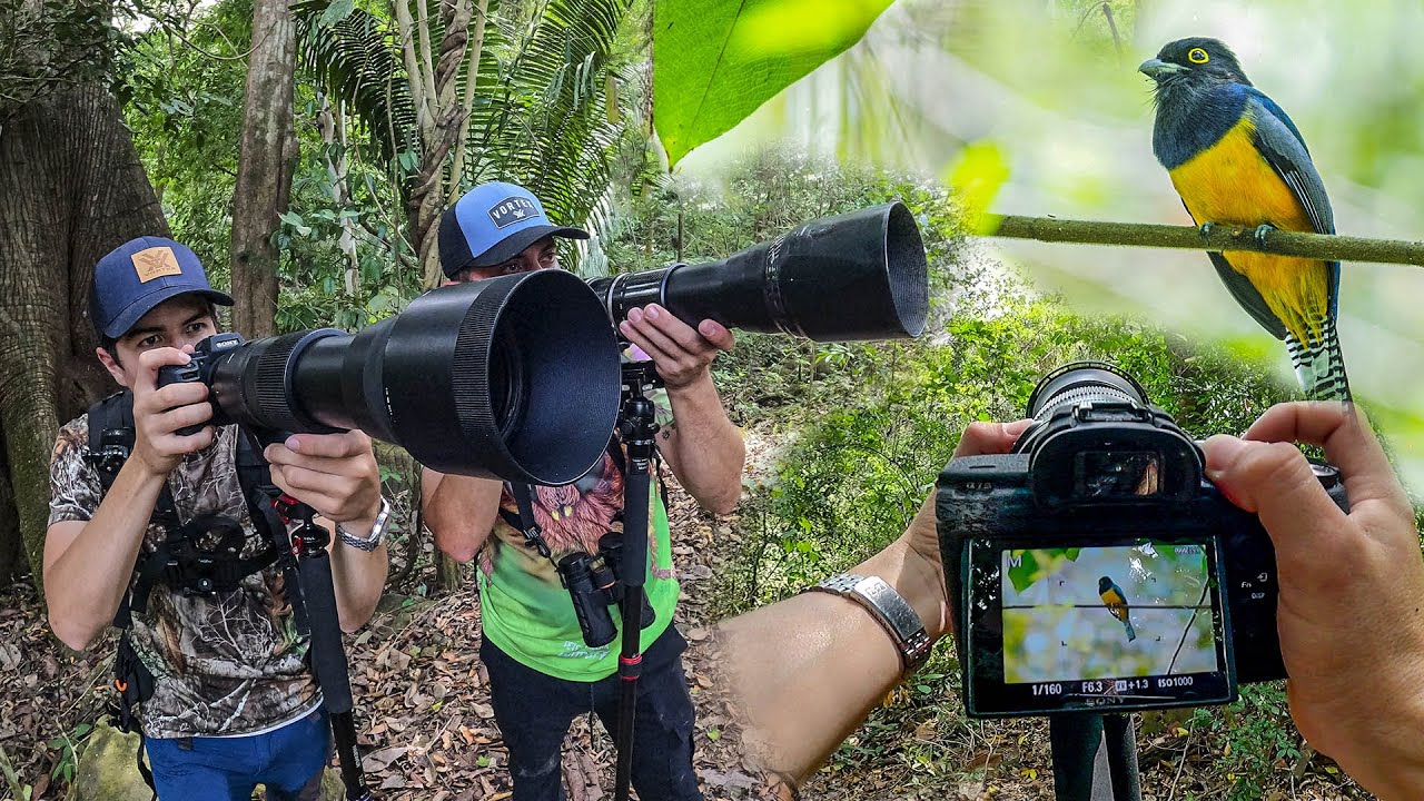 FOTOGRAFÍA DE AVES con mi NUEVO lente / increíbles especies 🦜​📸​